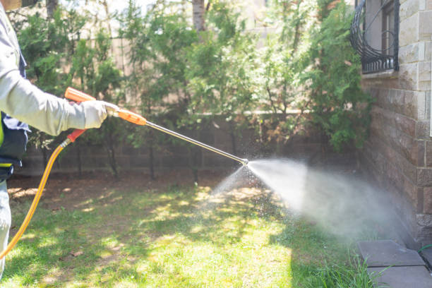 Best Wasp Removal Services  in USA